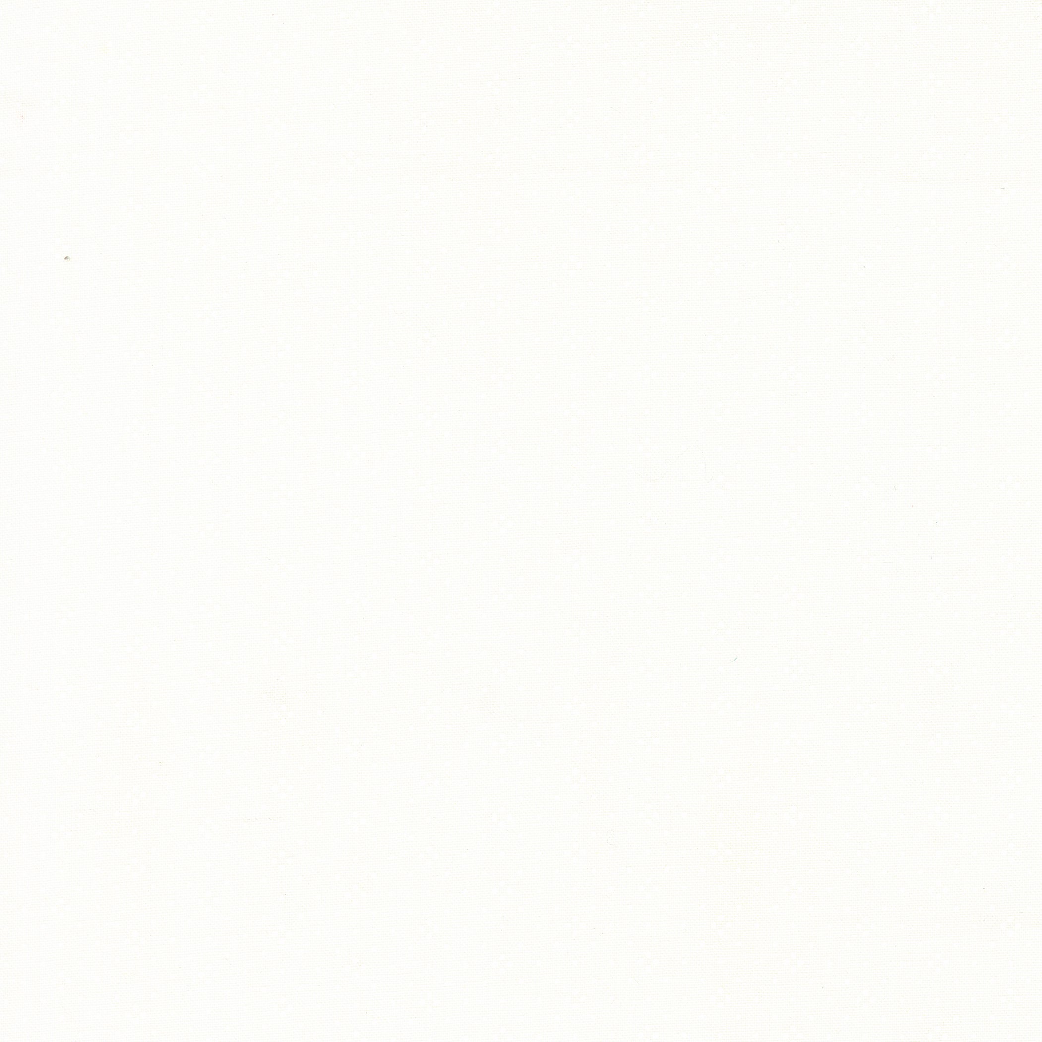 Eyelet Ivory Basics Yardage by Fig Tree & Co. for Moda Fabrics