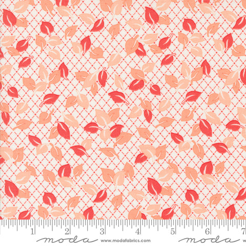 Jelly & Jam Strawberry Jelly Toppers Yardage by Fig Tree & Co. for Moda Fabrics