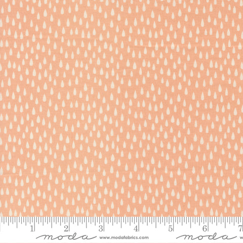 Noah's Ark Peach The Storm Yardage by Stacy Iest Hsu for Moda Fabrics