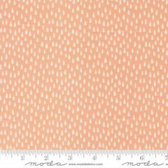 Noah's Ark Peach The Storm Yardage by Stacy Iest Hsu for Moda Fabrics