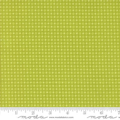 Fab Boo Lous Green Slime Spooky Gingham Yardage by Me & My Sister for Moda Fabrics