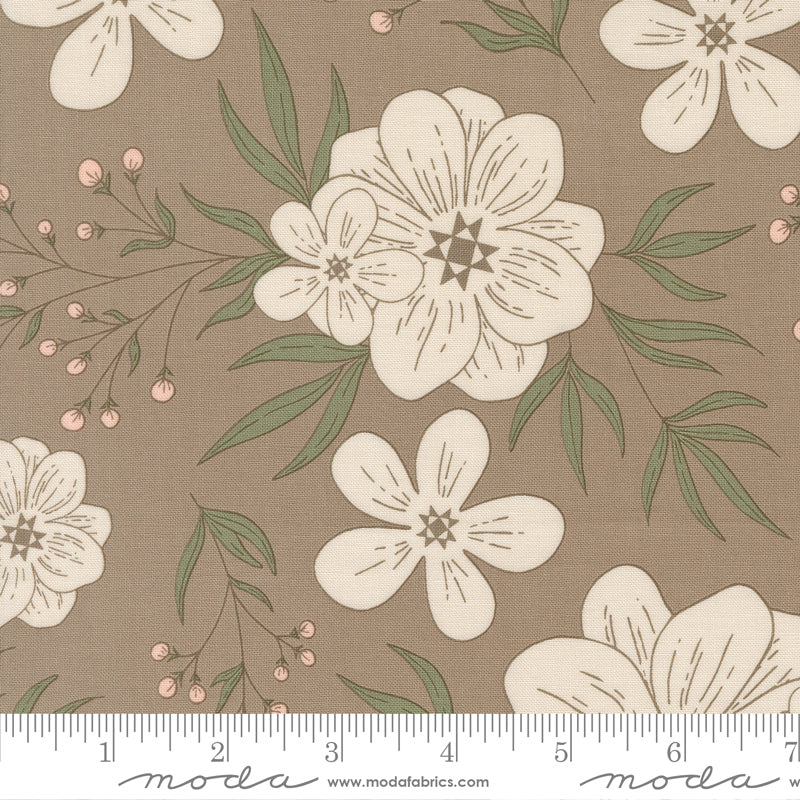 Potted Ash Star Bloom Yardage by Kiley's Quilt Room for Moda Fabrics