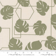 Potted Stone Monstera Geo Yardage by Kiley's Quilt Room for Moda Fabrics