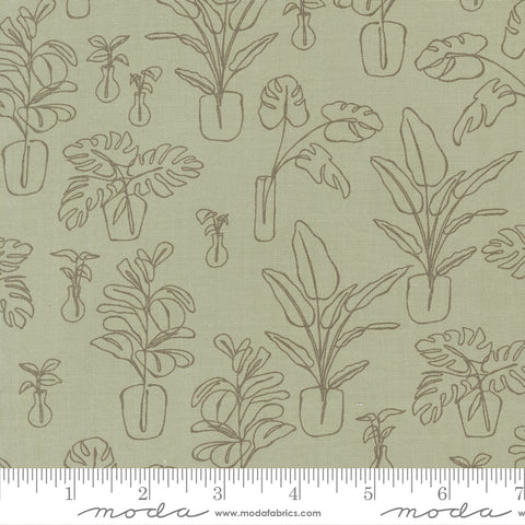 Potted Sage Indoor Jungle Yardage by Kiley's Quilt Room for Moda Fabrics