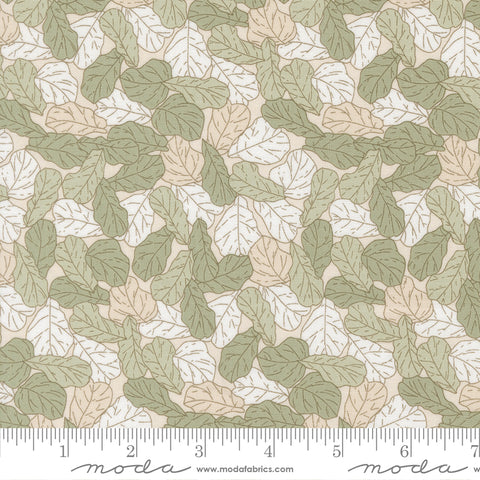 Potted Sage Fiddle Leaf Yardage by Kiley's Quilt Room for Moda Fabrics