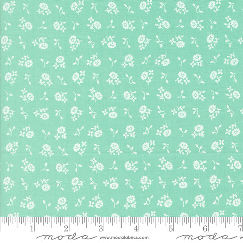 Cali & Co. Sea Cameo Yardage by Corey Yoder for Moda Fabrics