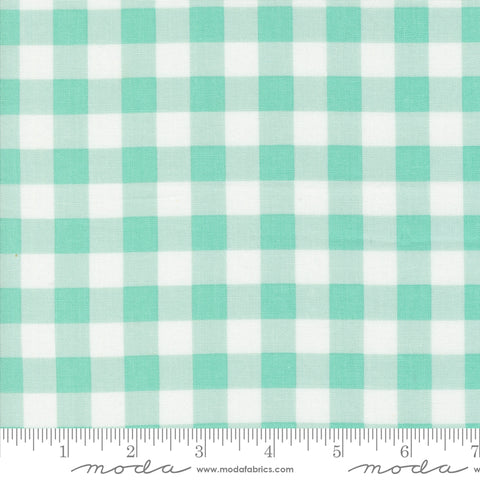 Coriander Colors Aqua Gingham Yardage by Corey Yoder for Moda Fabrics
