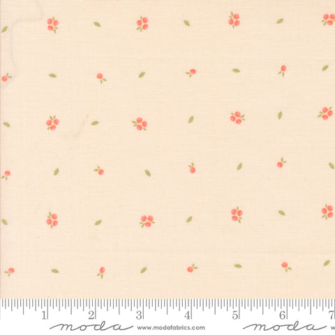 Abloom Pale Pink Little Sprout Yardage by Corey Yoder for Moda Fabrics