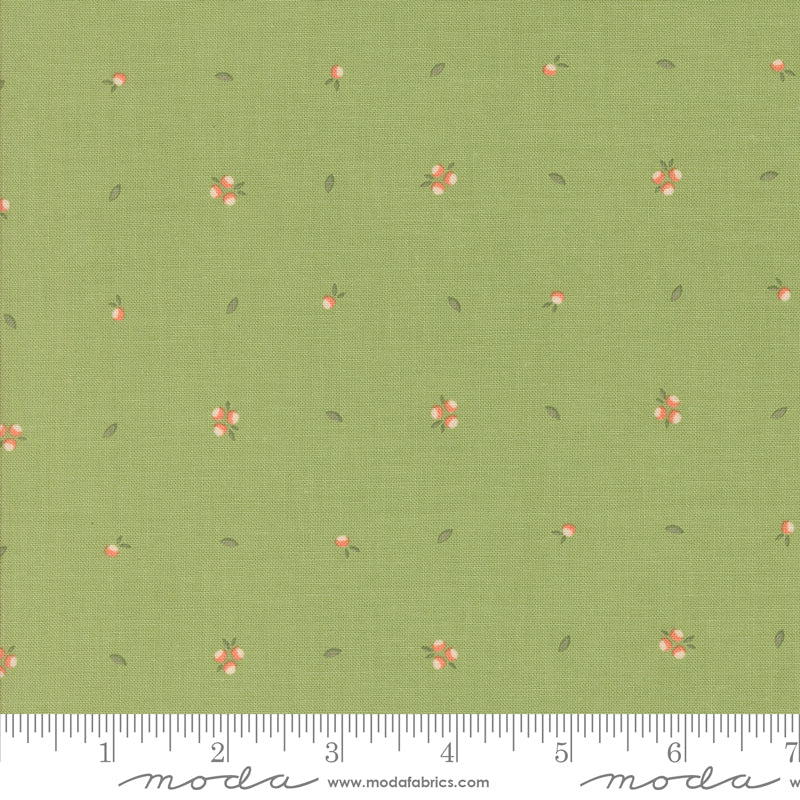 Abloom Cucumber Little Sprout Yardage by Corey Yoder for Moda Fabrics