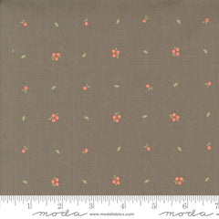 Abloom Slate Little Sprout Yardage by Corey Yoder for Moda Fabrics