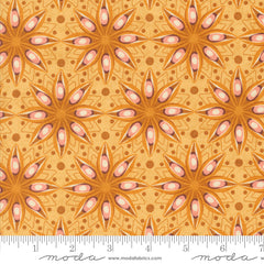 Acorn Hollow Maize Spiced Yardage by Basic Grey for Moda Fabrics