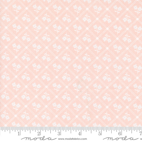 Cottage Charm Koral Kicks Window Pane Yardage by Heather Briggs for Moda Fabrics