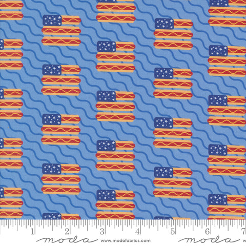 Play Ball Sky Top Dog Yardage by for Moda Fabrics