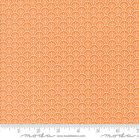 Agatha Road Pumpkin Scallops Yardage by Fig Tree & Co. for Moda Fabrics
