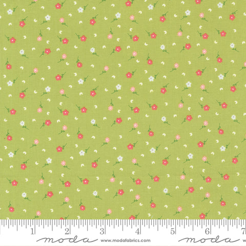 Strawberry Lemonade Lime Poppies Yardage by Sherri & Chelsi for Moda Fabrics