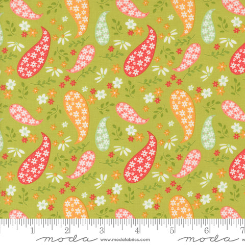 Raspberry Summer Lime Paisley Yardage by Sherri & Chelsi for Moda Fabrics
