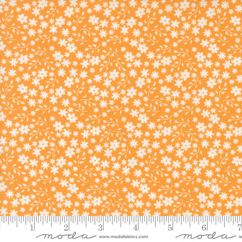Raspberry Summer Apricot Blossom Yardage by Sherri & Chelsi for Moda Fabrics