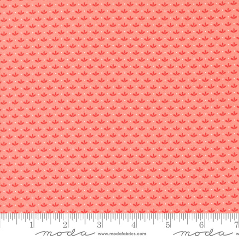 Raspberry Summer Carnation Sprout Yardage by Sherri & Chelsi for Moda Fabrics