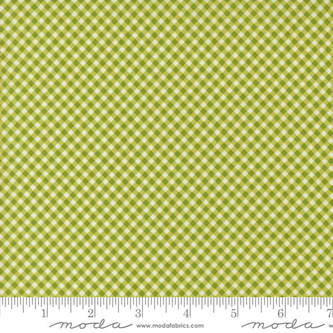 Raspberry Summer Lime Gingham Yardage by Sherri & Chelsi for Moda Fabrics