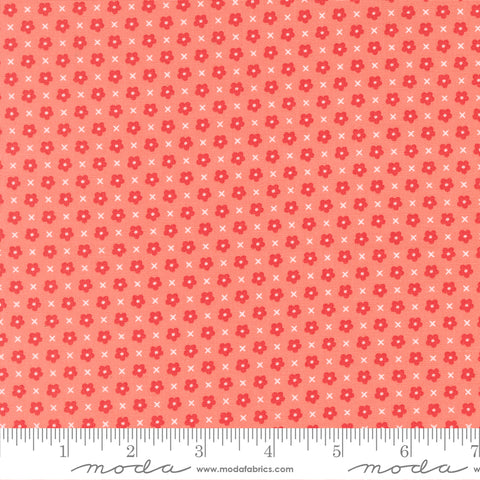 Delightfully Yours Carnation Blooms Yardage by Sherri & Chelsi for Moda Fabrics