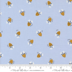 Sun-drenched Sky Vintage Lockets Yardage by Sweetfire Road for Moda Fabrics