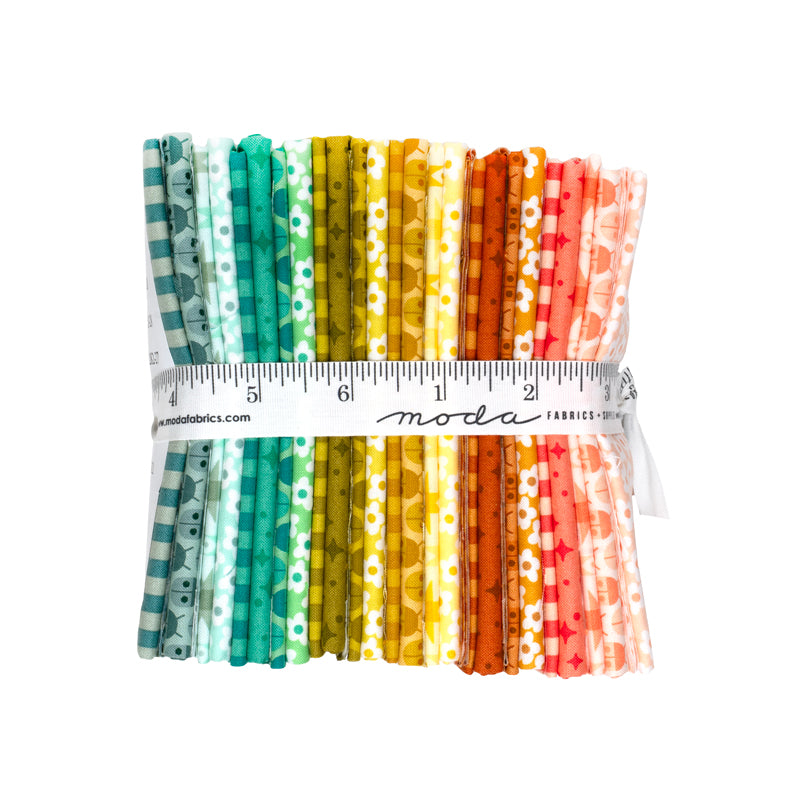 Popcorn Fat Quarter Bundle by Elizabeth Hartman for Moda Fabrics