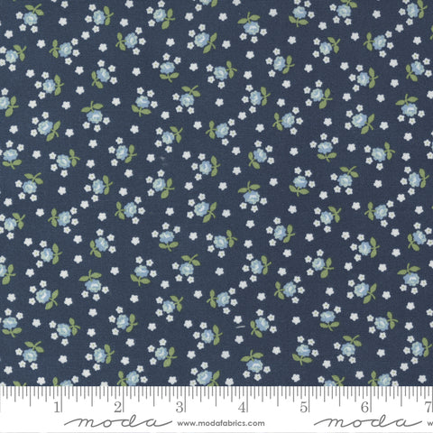 Nantucket Summer Navy Fairground Yardage by Camille Roskelley for Moda Fabrics