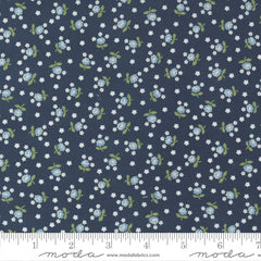 Nantucket Summer Navy Fairground Yardage by Camille Roskelley for Moda Fabrics