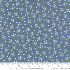 Nantucket Summer Lake Fairground Yardage by Camille Roskelley for Moda Fabrics