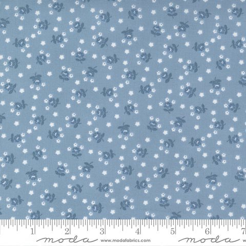 Nantucket Summer Light Blue Fairground Yardage by Camille Roskelley for Moda Fabrics