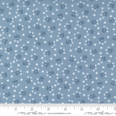 Nantucket Summer Light Blue Fairground Yardage by Camille Roskelley for Moda Fabrics