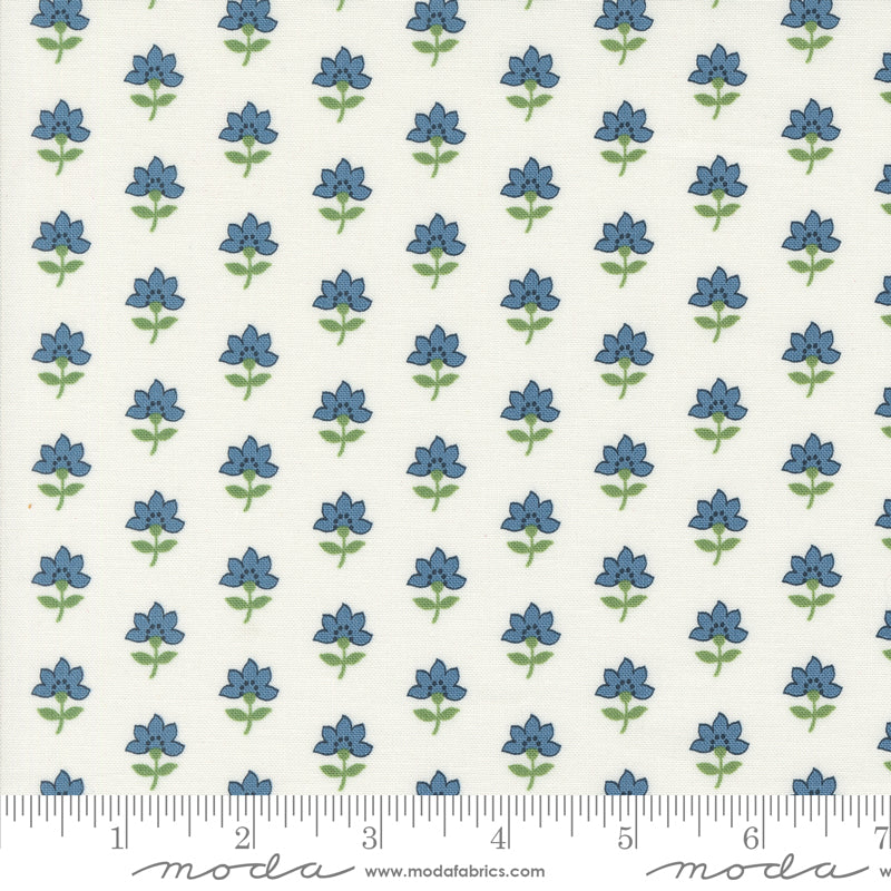 Shoreline Cream Multi Coastal Yardage by Camille Roskelley for Moda Fabrics