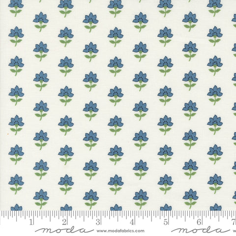 Shoreline Cream Multi Coastal Yardage by Camille Roskelley for Moda Fabrics