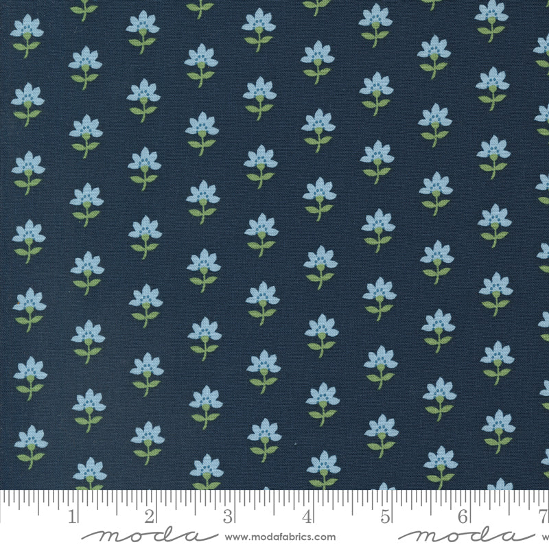 Shoreline Navy Coastal Yardage by Camille Roskelley for Moda Fabrics