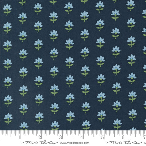 Shoreline Navy Coastal Yardage by Camille Roskelley for Moda Fabrics