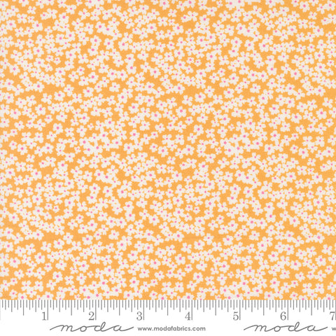 Shine Orangesicle Bloom Yardage by Sweetwater for Moda Fabrics