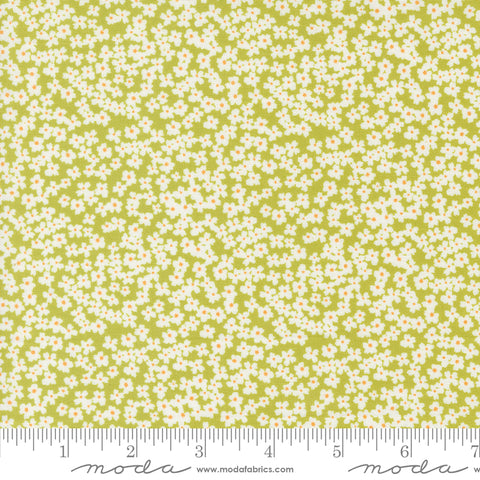 Shine Grass Bloom Yardage by Sweetwater for Moda Fabrics