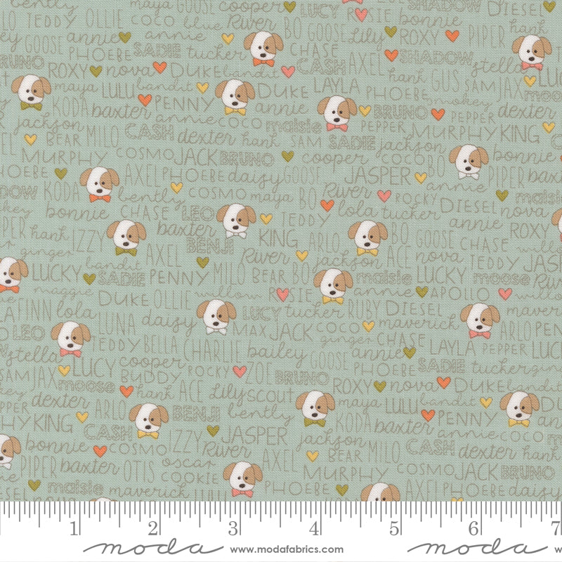 Lucky Sky Buddies Yardage by Sweetwater for Moda Fabrics