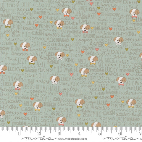 Lucky Sky Buddies Yardage by Sweetwater for Moda Fabrics
