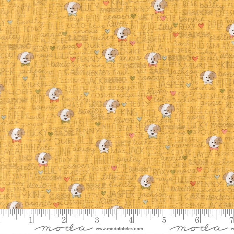 Lucky Sun Buddies Yardage by Sweetwater for Moda Fabrics