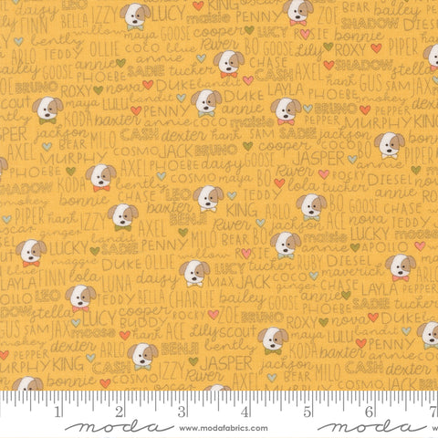 Lucky Sun Buddies Yardage by Sweetwater for Moda Fabrics