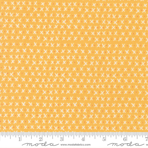 Lucky Sun Xs and Os Yardage by Sweetwater for Moda Fabrics