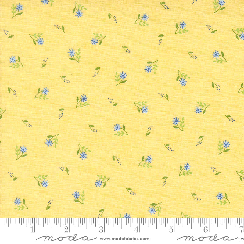 On Lake Time Daisy Flowers on Shore Yardage by Deb Strain for Moda Fabrics