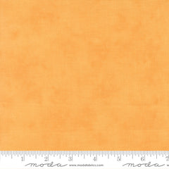 I Love Fall Most Of All Light Pumpkin Shaded Solid Yardage by Deb Strain for Moda Fabrics