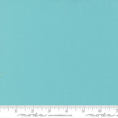 Bella Solids Spray Yardage by Moda Fabrics