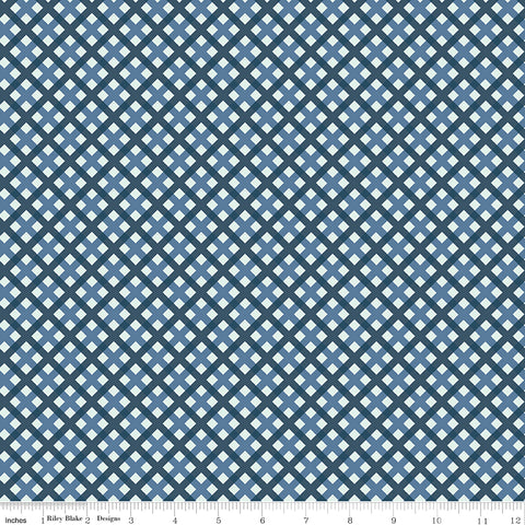 Sweet Freedom Blue Gingham Picnic Yardage by Beverly McCullough for Riley Blake Designs