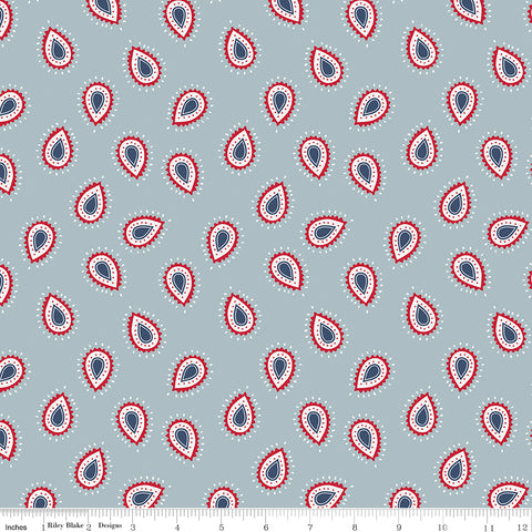 American Beauty Storm Paisley Yardage by Dani Mogstad for Riley Blake Designs