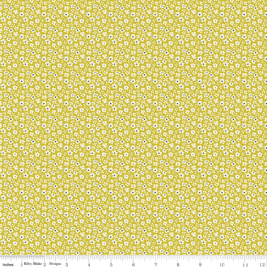 Feed My Soul Pear Daisies Yardage by Sandy Gervais for Riley Blake Designs
