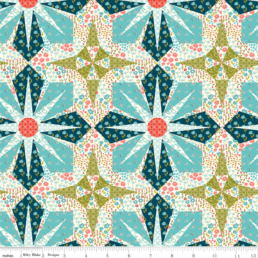 Feed My Soul Multi Cheater Print Yardage by Sandy Gervais for Riley Blake Designs