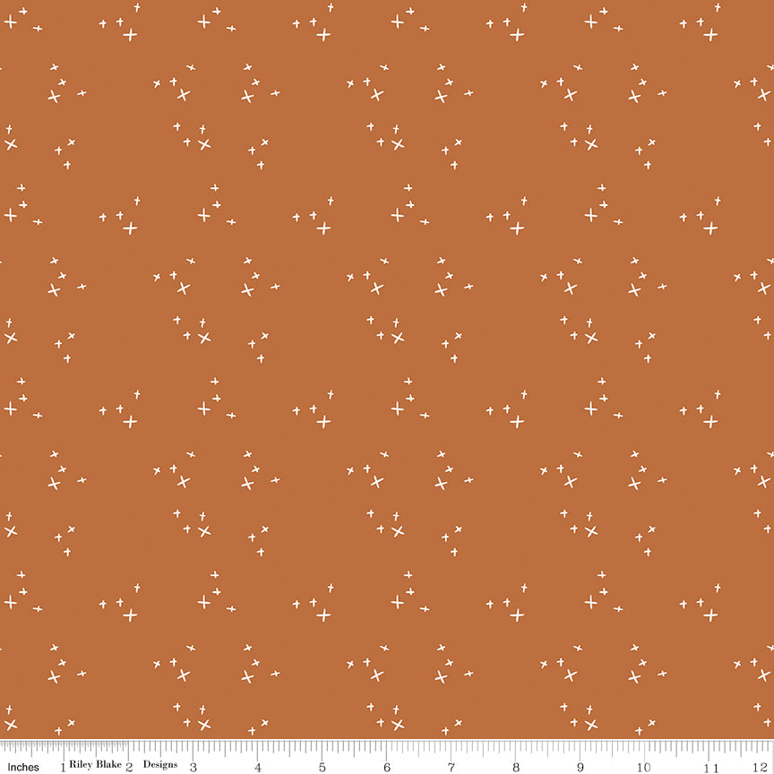 Pumpkin Spice Spice Sparkle Yardage by Simple Simon & Co. for Riley Blake Designs